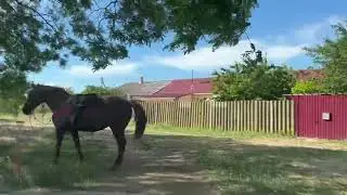 Не забывайте родной МАНАЙ часть3.
