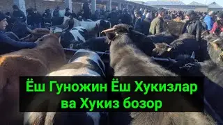 Сурхондарё Сариосиё Хукиз бозори нархлари. 27.01.2022й