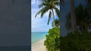 Nature's melody: the soothing rhythm of waves kissing the shore #travel #relaxing #waves #shorts
