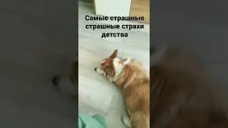 не ну а почему бы и нет 🤭