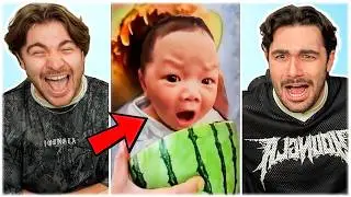 We Found The Funniest Memes Ever