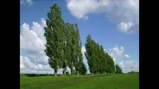 А знаєш, мамо...