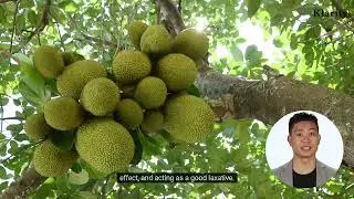Health Benefits Of Jackfruit