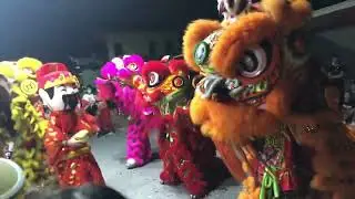 Lân sư rồng vui trung thu