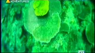 APOCXIH2