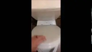 MEME