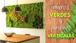 ☘️​ UN MURO VERDE o JARDÍN VERTICAL transforma cualquier lugar DISEÑO Y DECORACION DE INTERIORES☘️​