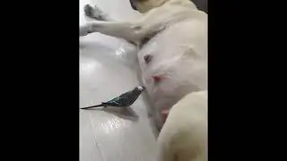 Я голодные 🤣