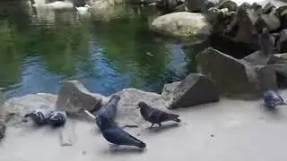 Так не достанься никому!