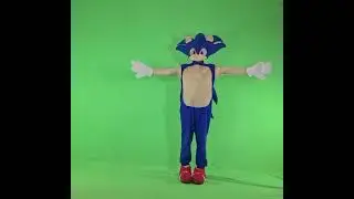 соник на зелёном фоне