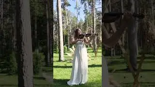 " Besome mucho" violin cover