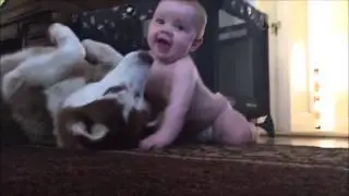 Köpek ve Bebeğin Oyunu :)