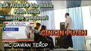 LIA AUDIO/LIA MUSIC #cincinputih