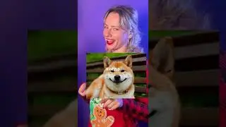 Блиц по новогодним традициям 🎄 
