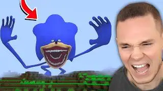 Wenn du DIESES MONSTER FINDEST, RENN WEG! 😱 (SONIC TAPES)