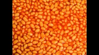 beans 144p