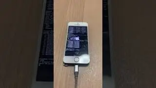 iPhone 5s panic cpu 0 caller