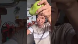 CRUSH FACTZ YT p511  😱🐕🤯 #shorts, #ytshorts #shortsvideo