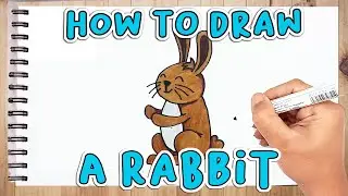 How To Draw A Rabbit Step By Step | Boxline Simple Drawing