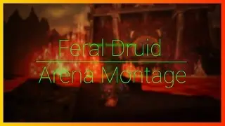 Sleizer | Feral Druid Arena Montage