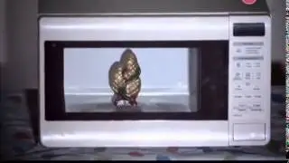 Эксперименты с микроволновкой