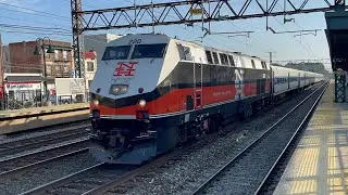 Metro-North New Haven Line Action at Mamaroneck (7/30/24)