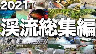 【2021】渓流総集編【今年もありがとうございました】