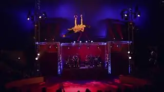 #3364-  Aerial Duo Rings