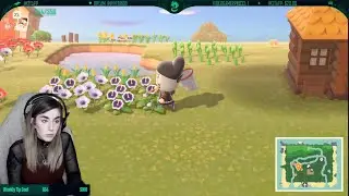 EP. 1 | WE BEGIN | Animal Crossing New Horizons
