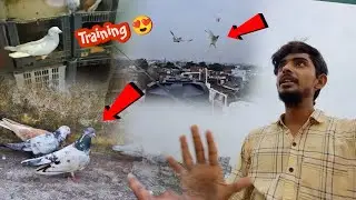 Ye Kaha Chla Jata He 🤔