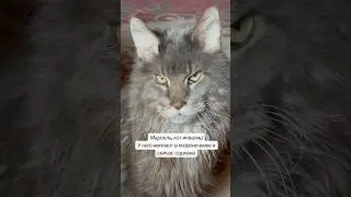 Знаете его историю? Или надо рассказать? Напишите. 