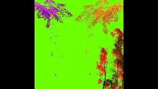 Green screen Tree Effects Raning 