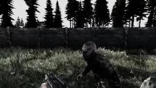 DayZ