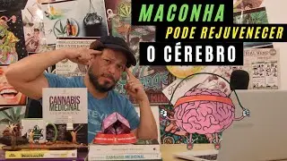 Maconha pode rejuvenescer o nosso cérebro