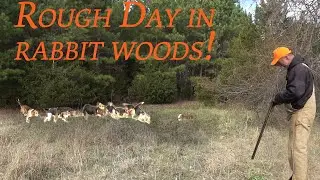 ROUGH start to 2023 Rabbit Hunting in VA with Beagles!