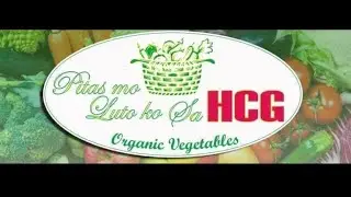 Pitas mo, Luto ko Organic Vegetables - Bandugoy Vlogs