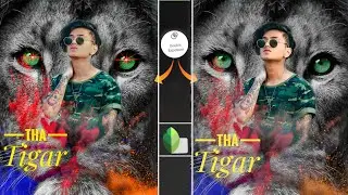 Snapsed Photo Editing|Snapsed backround change|Snapsed tha tigar Photo editing🔥🔥🔥🔥