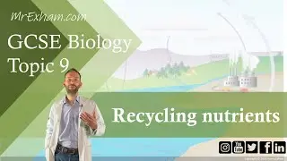 Recycling Nutrients - GCSE Biology (9-1) 9.12