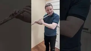 Скидки на флейту Di Zhao 701 BEF, подробности в нашем YouTube сообществе!