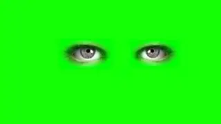 Mata Green Screen | Eye Green Screen