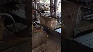 split 0.7M teak wood at the sawmill 1 #woodworking #russia #america #india #korea #thailand
