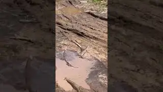 Перад Радаўніцай да Ларынаўскіх могілак не даехаць  