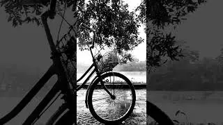 My bicycle and the rain