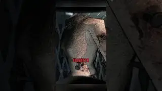 This traumatized us