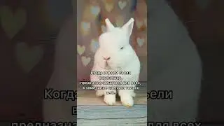 Рафаэль о главной несправедливости 😁 
