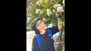 Что такое сетевой маркетинг. Плюсы и минусы