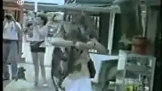 222foreign wonderful animal funny video