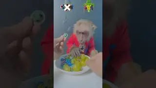 Eating Fresh Grapes orders emotions