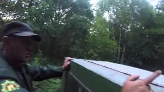 Место, где стояли самолёты. Ольманские болота