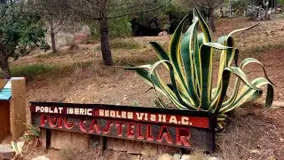 Subida al Poblado Ibero Puig Castellar VI - II A.C. Похід в Побладо Іберо VI - ll A.C. сиолітя⚡️